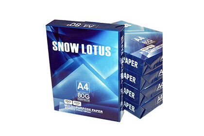 Белая офисная бумага Snow Lotus в ассортименте компании «Берег»
